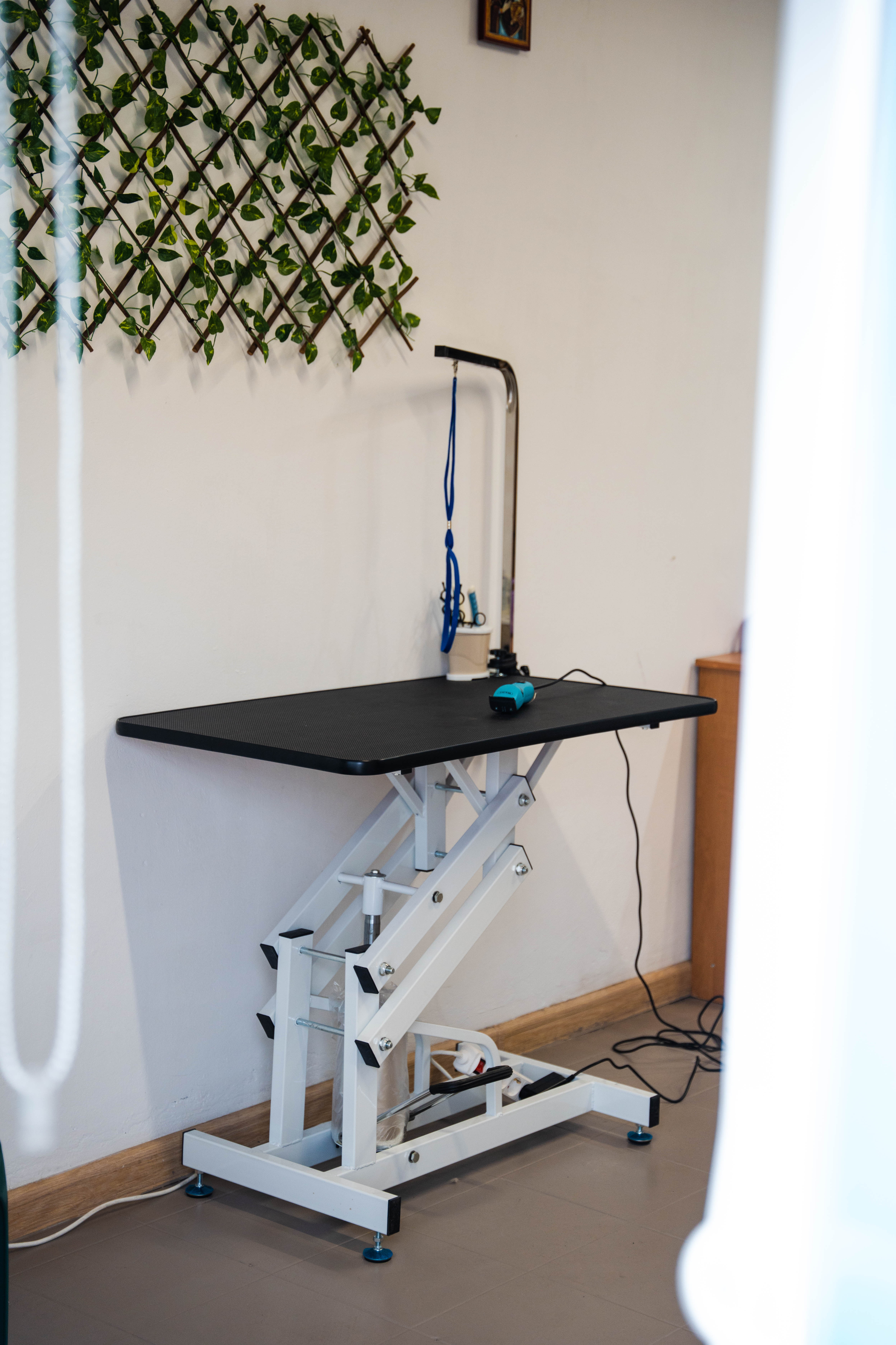 masa tuns caini si  pisici